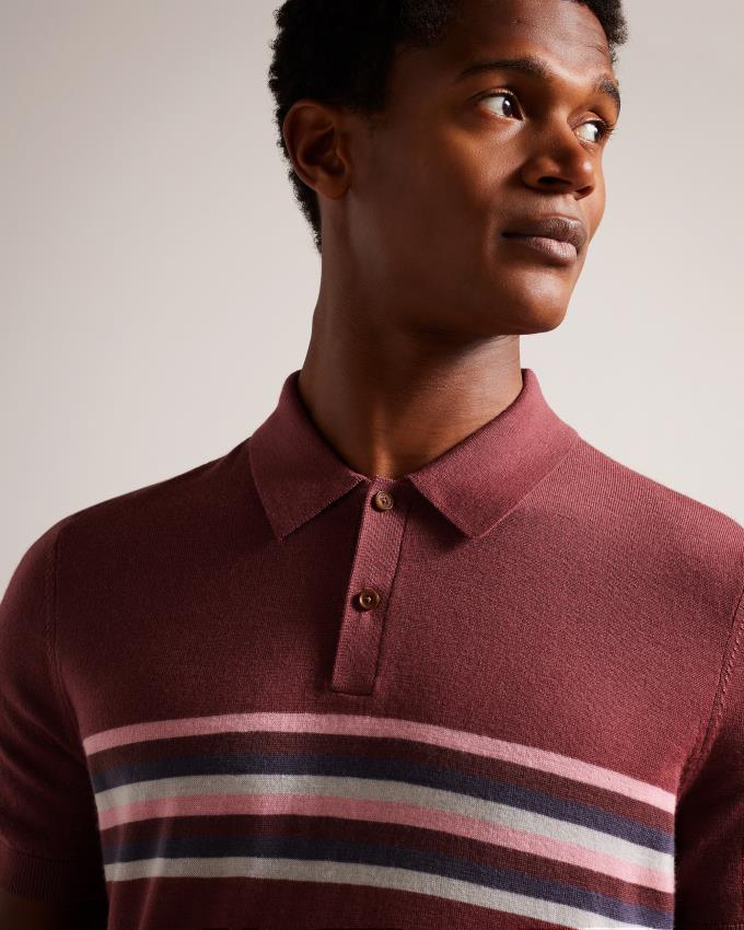 Polo Ted Baker Striped Wool Bordeaux Homme | IQJ-59585083